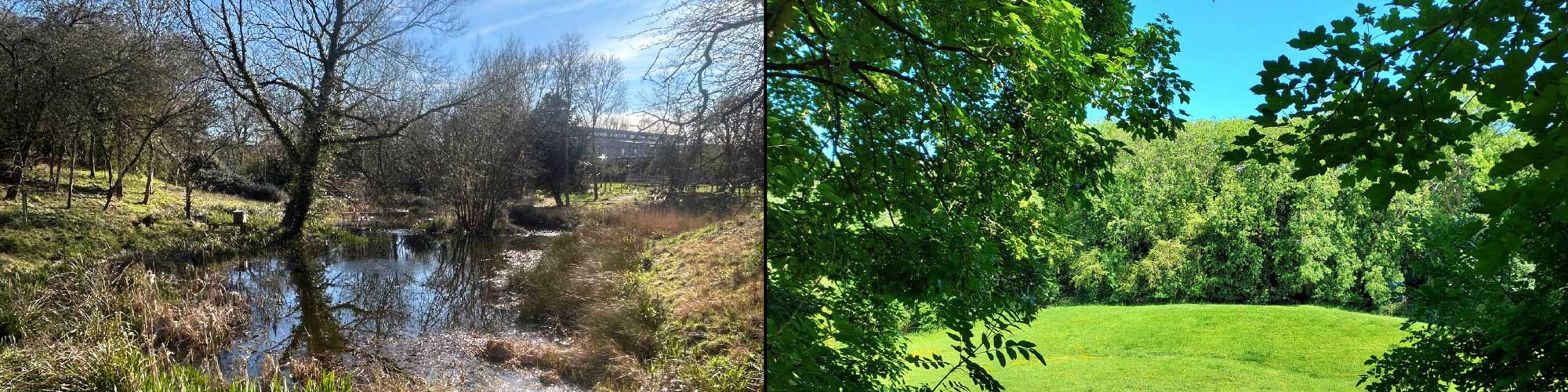Risinghurst & Sandhills Parish Council