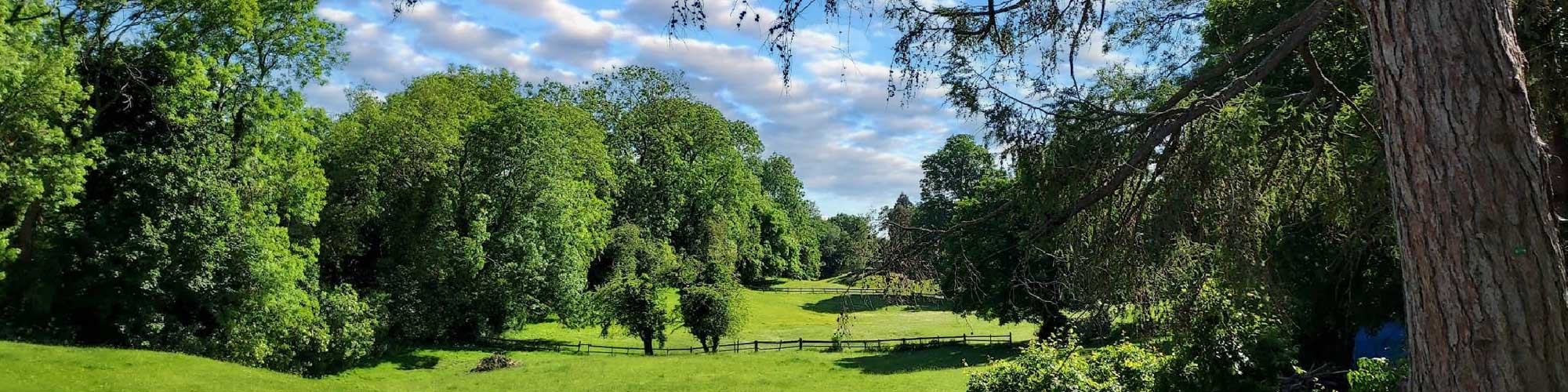 Risinghurst & Sandhills Parish Council